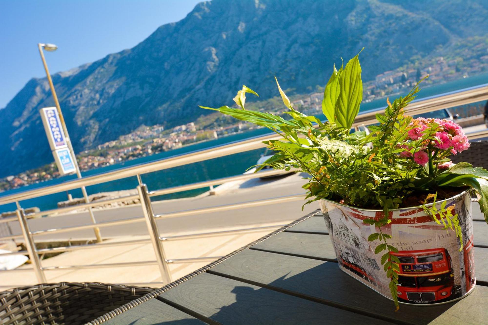 Apartments Jovanovic Kotor Værelse billede